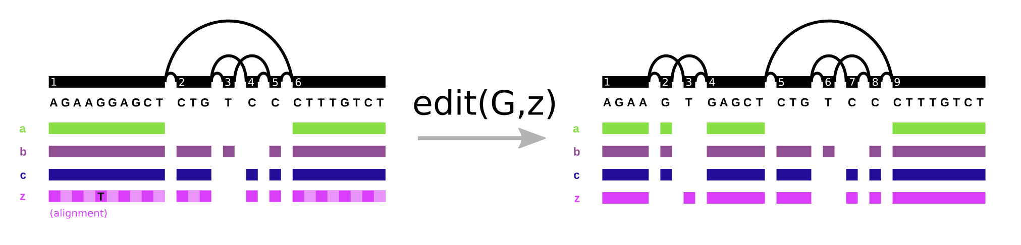 Editing a variation graph