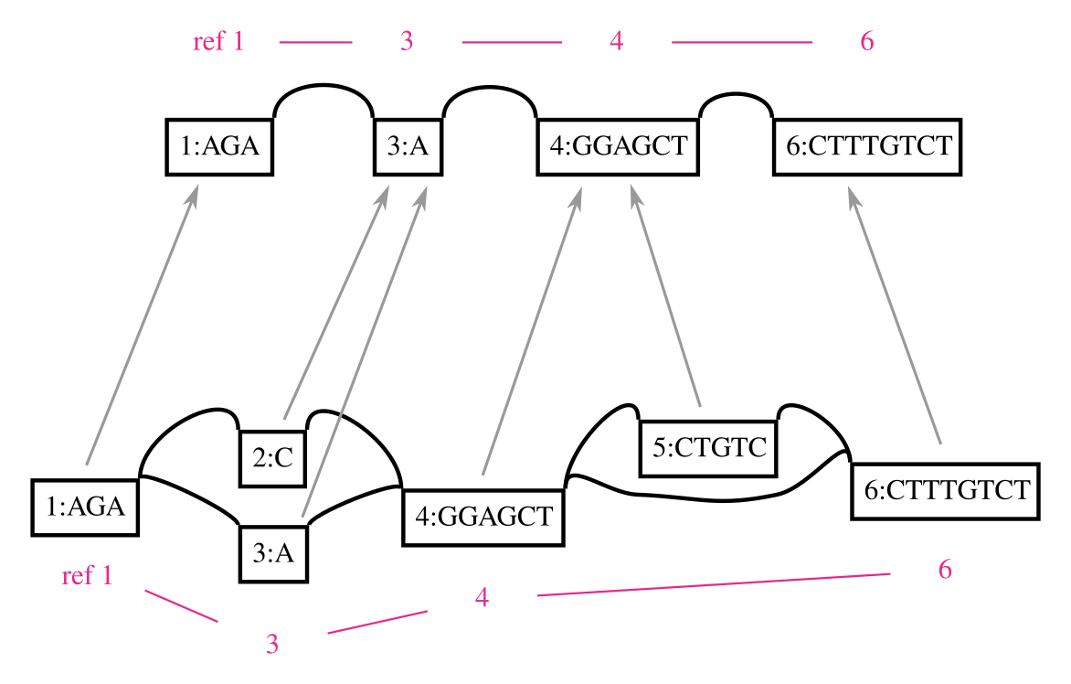 Surjection between variation graphs